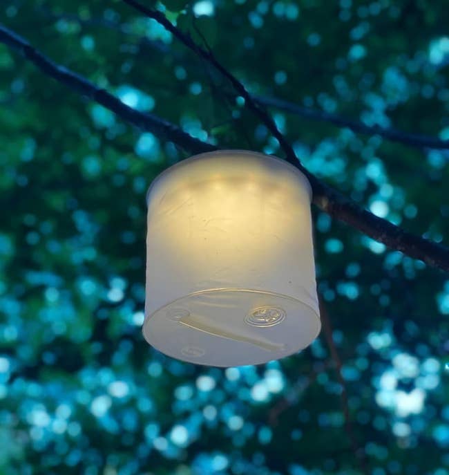 White portable lamp hanging from a tree branch