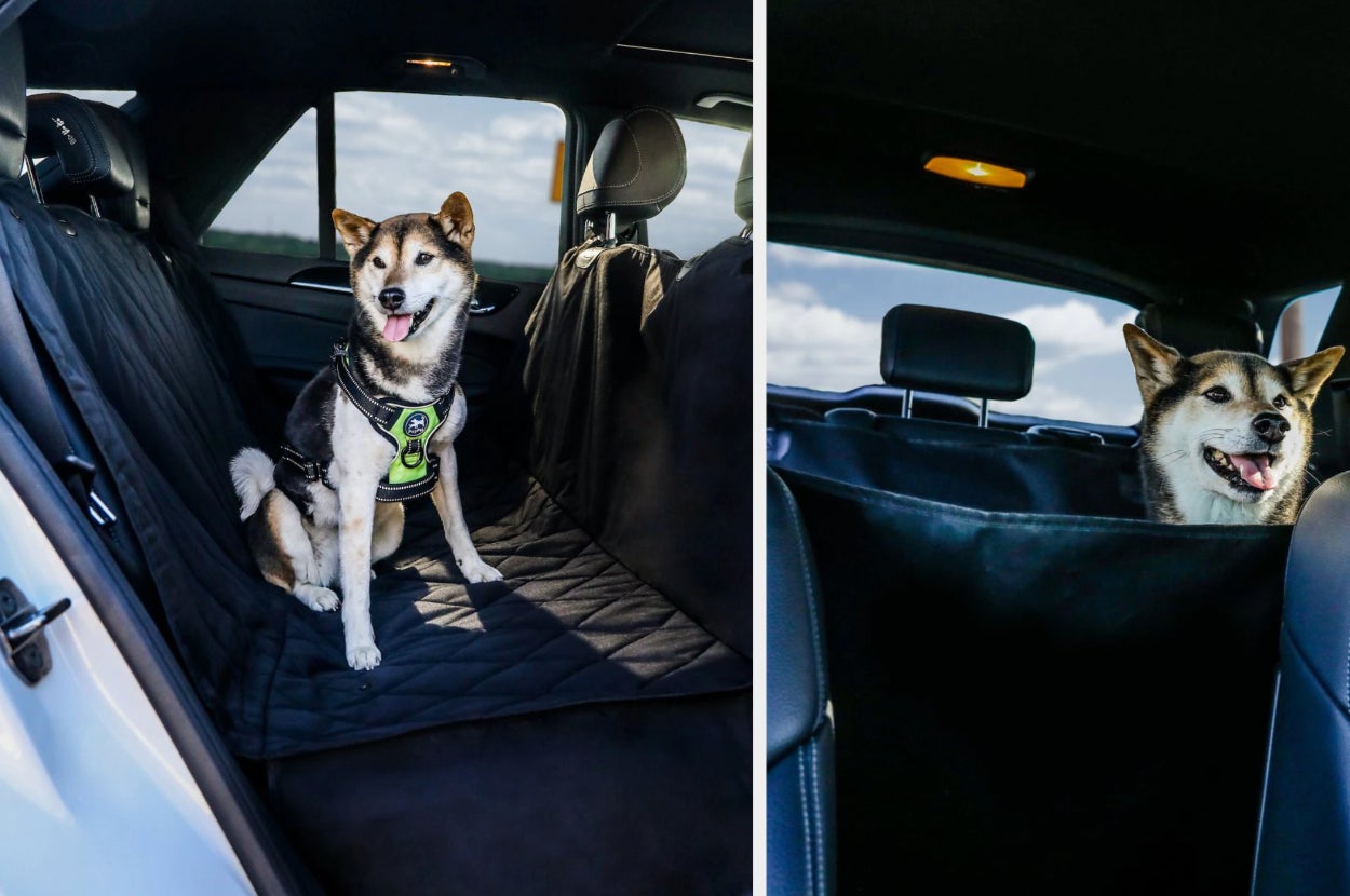 Dog sitting on top of black quilted car seat cover with front seat barrier, front seat view of product in a car with the dog
