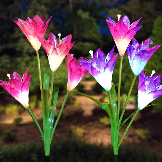 Solar-powered garden lights designed to resemble blooming flowers
