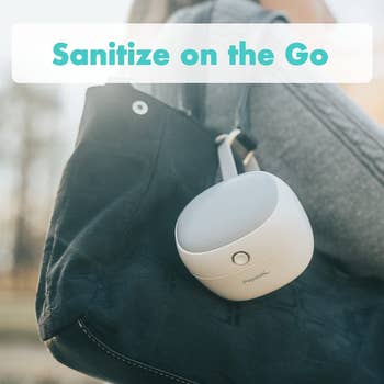 the sanitizer hooked on a purse