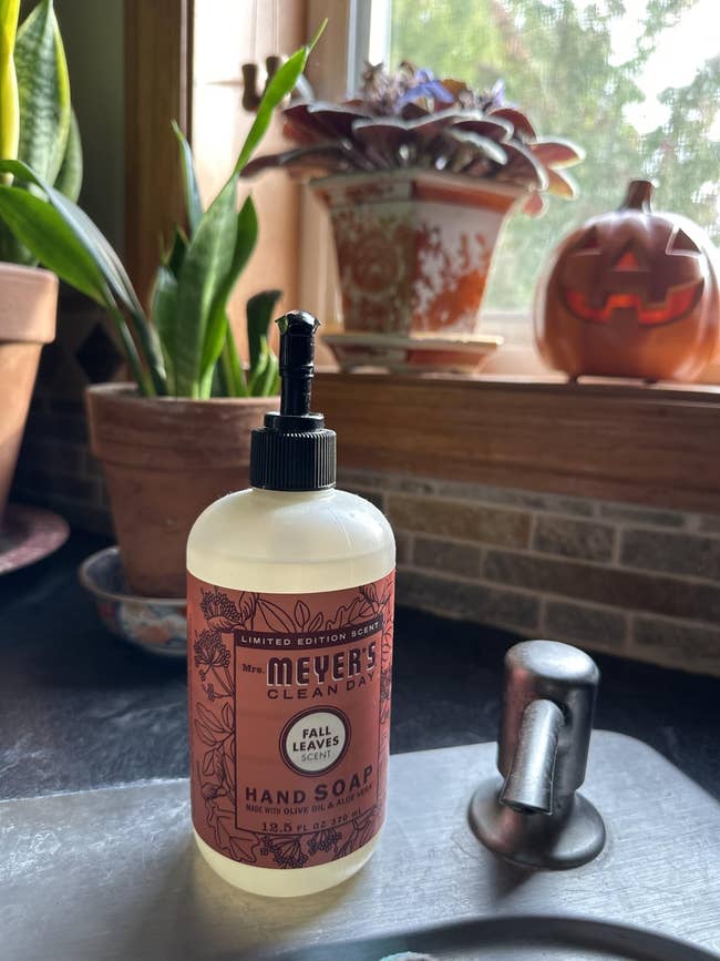 the vessel  of soap connected  a counter