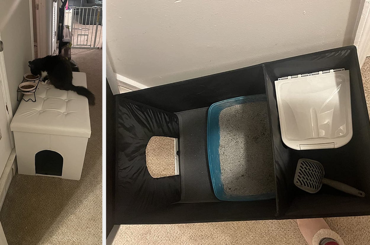 Ottoman cat shop litter box