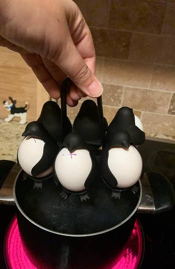 Penguin-shaped egg holders are seen in use atop a pot on a stove