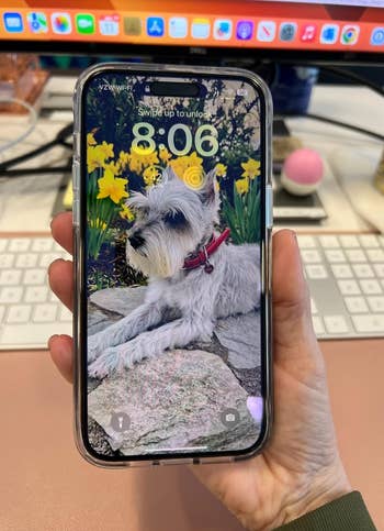 Social media trends Viral content Trending hashtags Social media updates Trending memes and videos Smartphone with dog wallpaper held in hand, time displayed as 8:06, on a desk with keyboard and computer monitor in the background