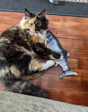 reviewer's cat holding the fish toy