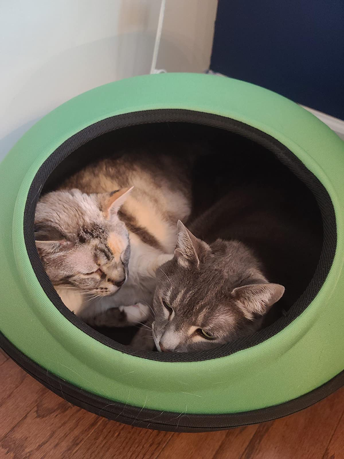 cat sleep pod