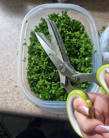 reviewer holding the green pair of scissors over a container of finely chopped herbs