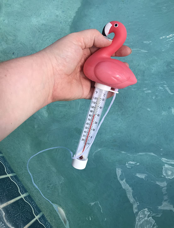 hand holding the thermometer with flamingo on top