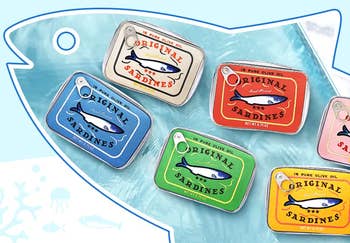 Sardine-themed pouches successful  assorted  colors  connected  an illustrated food  background