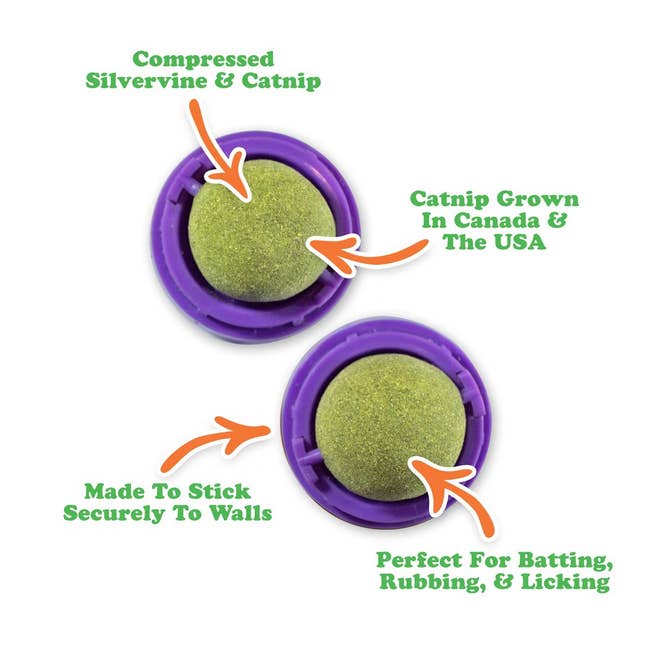 Post image 6