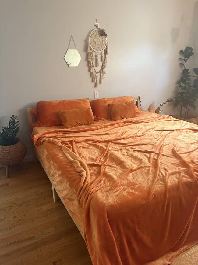 Cozy chamber  with an orangish  velvet bedspread, 2  plants, a dreamcatcher, and a hexagonal partition  mirror