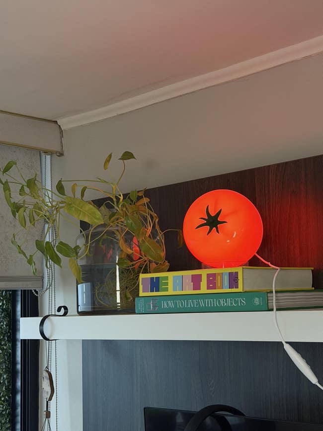 Quirky tomato-shaped lamp connected bookshelf beside plant; books see
