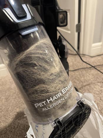 Vacuum cleaner canister filled with pet hair and labeled 