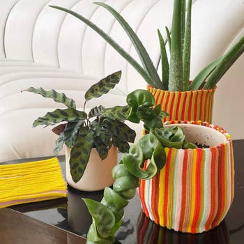 Three potted plants connected a sleek table, featuring colorful knitted planters, adjacent to a textured achromatic sofa
