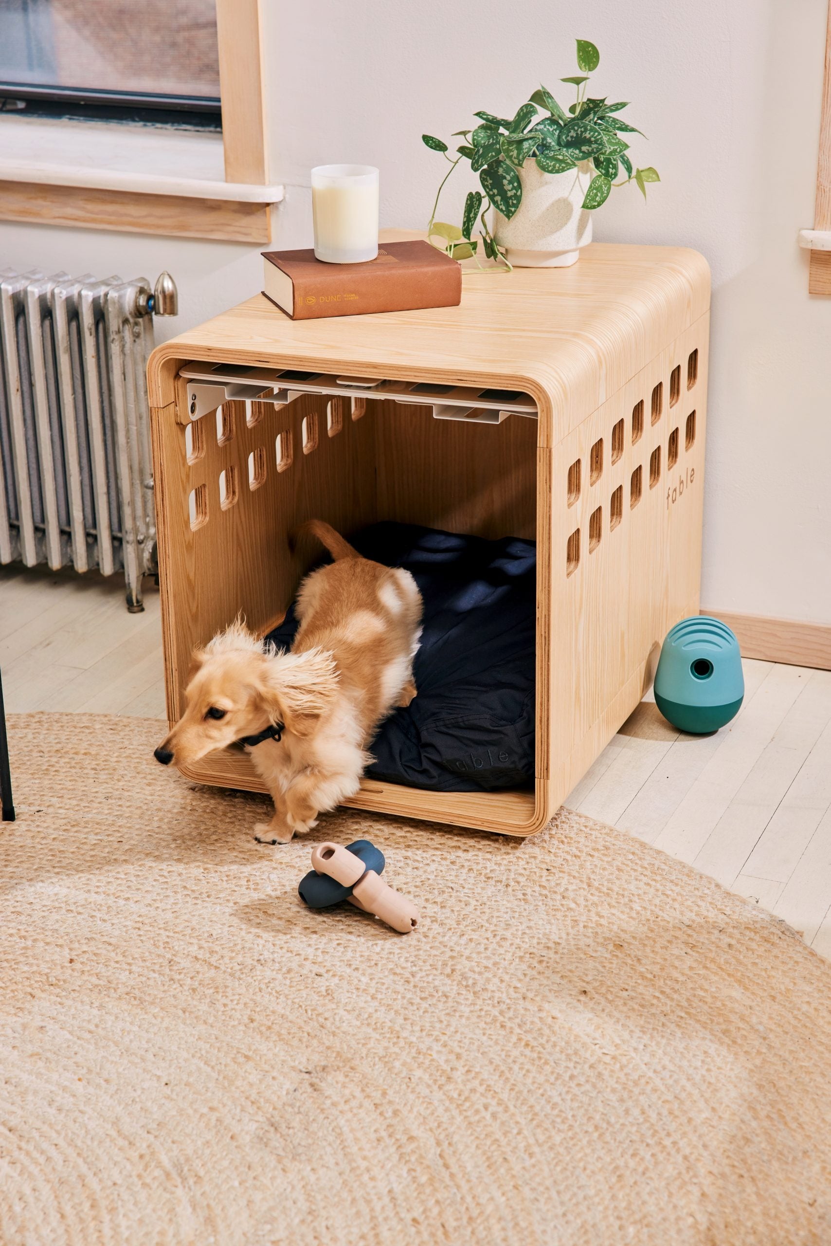 the wood crate with plants and books sitting on top