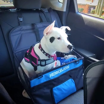Reviewer image of white dog inside blue and black dog car seat attached to head rest with front pocket and side mesh panels
