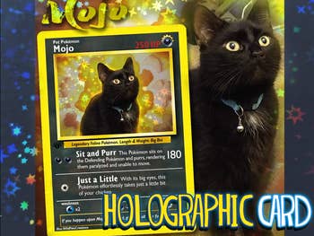 black cat pokemon card
