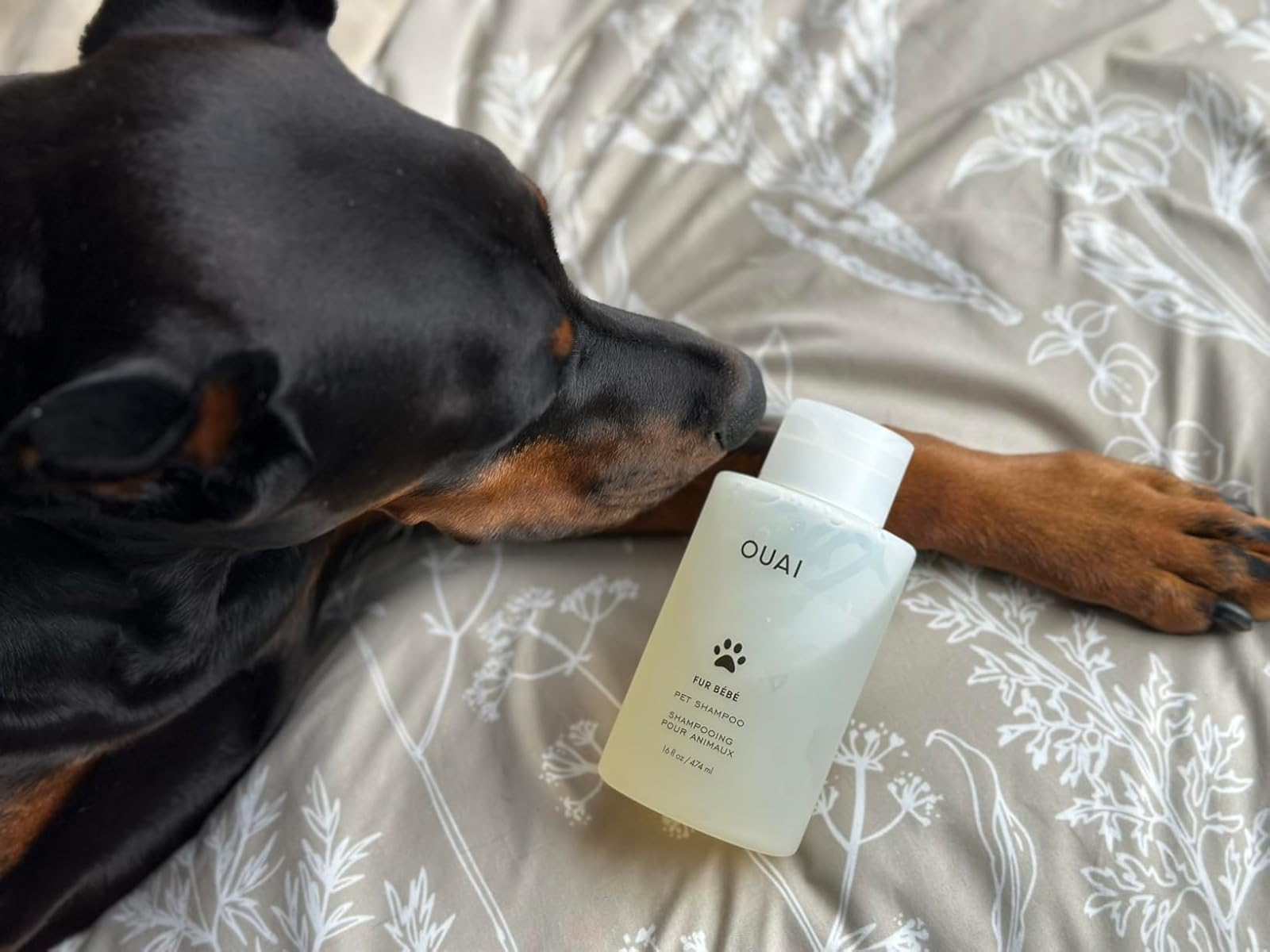 OUAI Fur Bébé Pet Shampoo - Mercer Street Scent Dog Wash For Hydrating & Shine