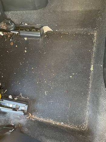 an image of crumbs and debris in a car