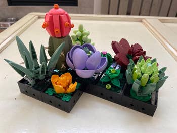 LEGO succulent garden set displayed on a table, featuring various colorful and detailed plant models
