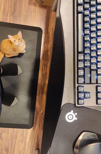 Another reviewer standing in front of desk on black anti-fatigue mat with their orange cat