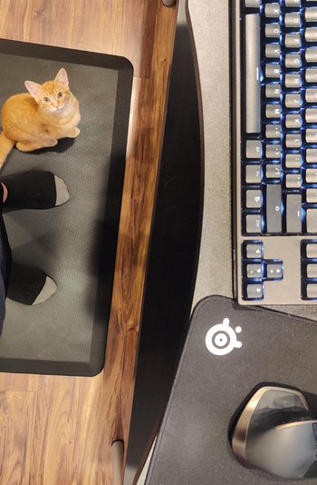 Reviewer standing in front of desk on black anti-fatigue mat with their orange cat