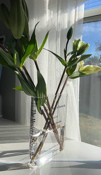 a clear book-shaped vase