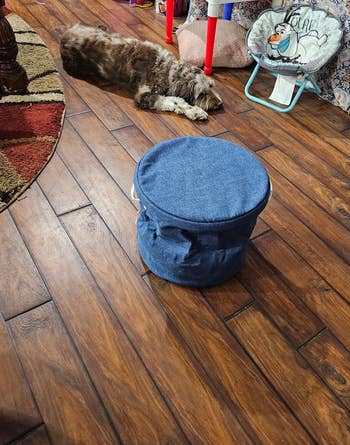 A canine lies connected a woody level adjacent to a bluish cloth retention bin