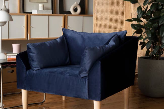 Blue velvet armchair in a living room with plants and shelves