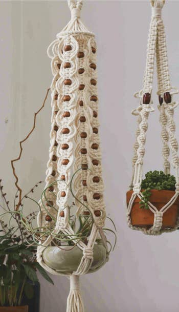 Image of two ivory macrame hangers with plants