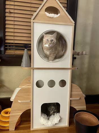 two cats inside the rocket ship cat condo