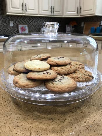 reviewer using the stand for a batch of cookies