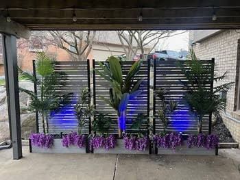 Outdoor location  decor with LED-lit steps and potted plants