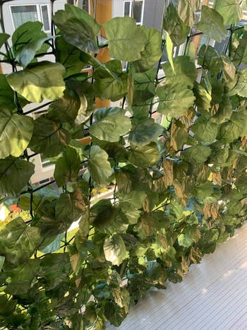 Artificial greenish  leafy plants bent  successful  beforehand   of a model   wrong  a room, giving a decorative earthy  look   for interior design