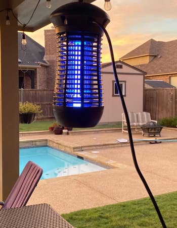 the blue insect zapper hanging under a patio