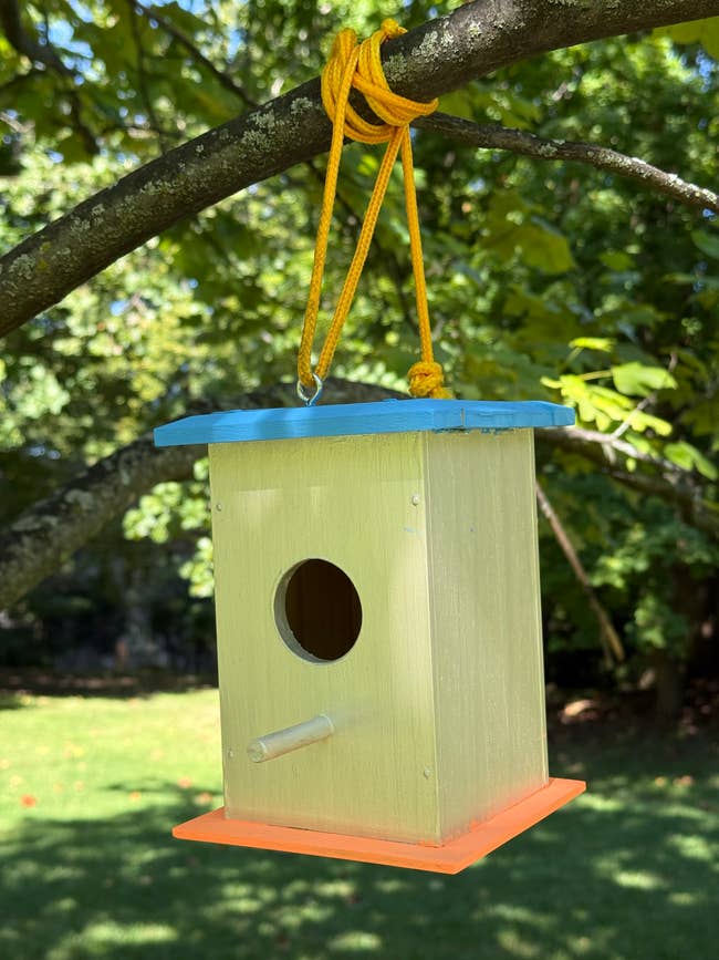 Wooden birdhouse with a bluish extortion and orangish basal hanging from a histrion subdivision by a yellowish cord successful a plot setting