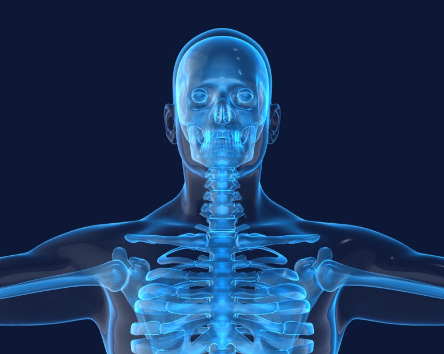 43+ Bones Of The Body Quiz Sporcle US