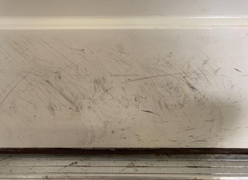 a reviewer photo of scratch marks on their door