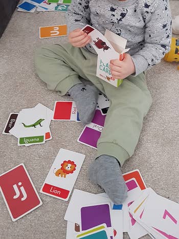 The flash cards with numbers, colors, letters, and animals