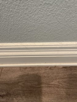 A reviewer before pic of their baseboard covered in hair