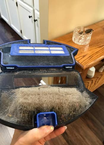 reviewer showing how much dust and dirt the vacuum sucked up 