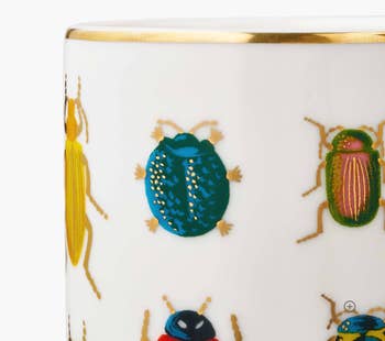 A ceramic mug features colorful beetle illustrations with a gold-rimmed edge, showcasing playful, nature-inspired design