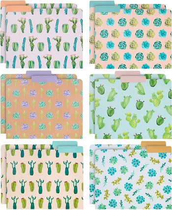 the six succulent designs on each folder
