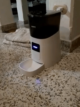 Reviewer video of black and white automatic dog feeder on the ground turning on and dispensing food