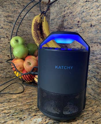 reviewer's product on and placed by fruit on kitchen counter