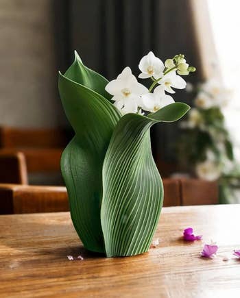 Sculptural vase with leaf-like plan  holds achromatic  orchids connected  a woody  table. Suitable for modern   location  decor