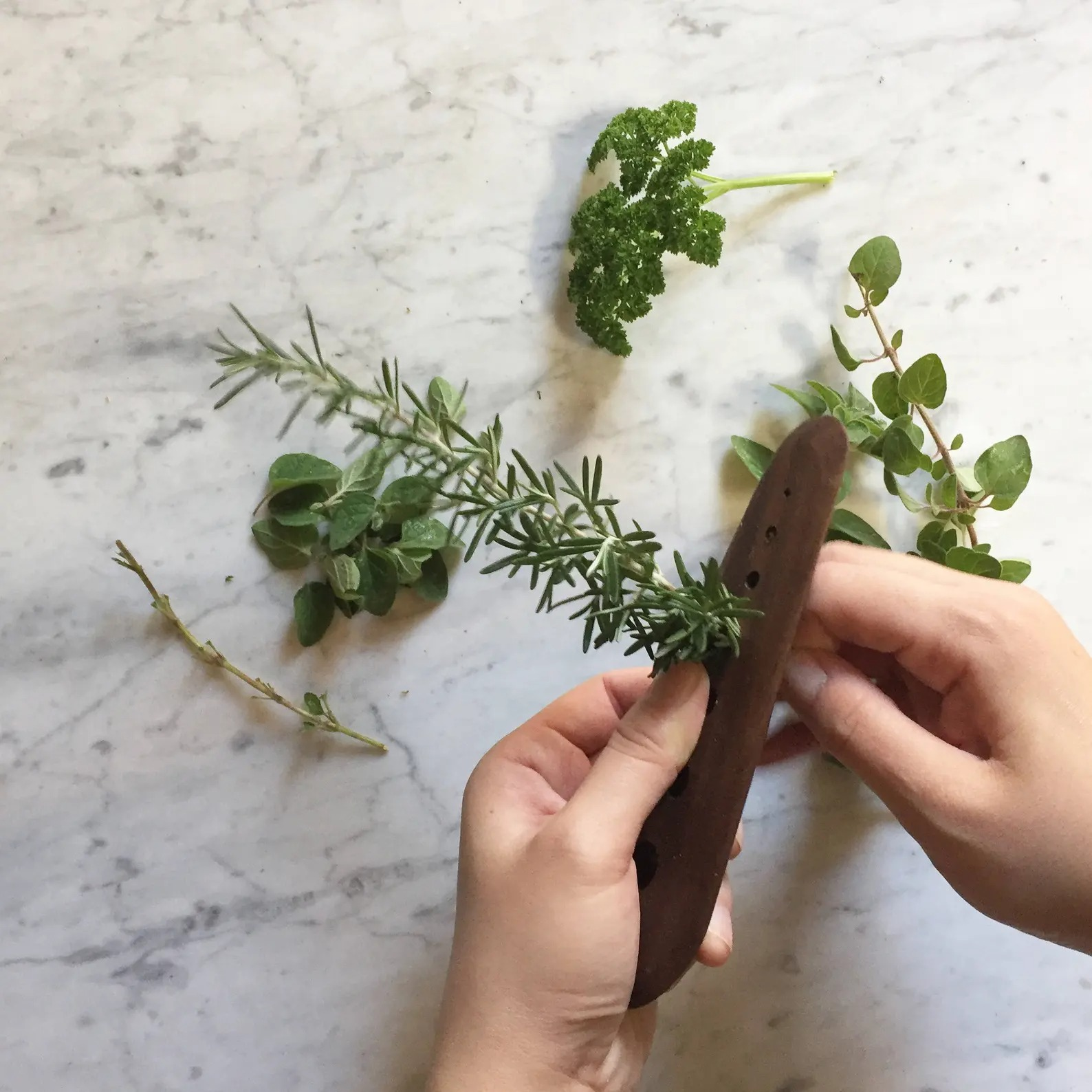 hands feeding a sprig of rosemary through the wooden herb stripper
