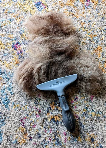 the brush on the ground next to a pile of loose removed hair