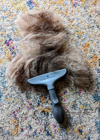 the brush on the ground next to a pile of loose removed hair