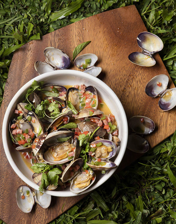 steamed clams with sausage 